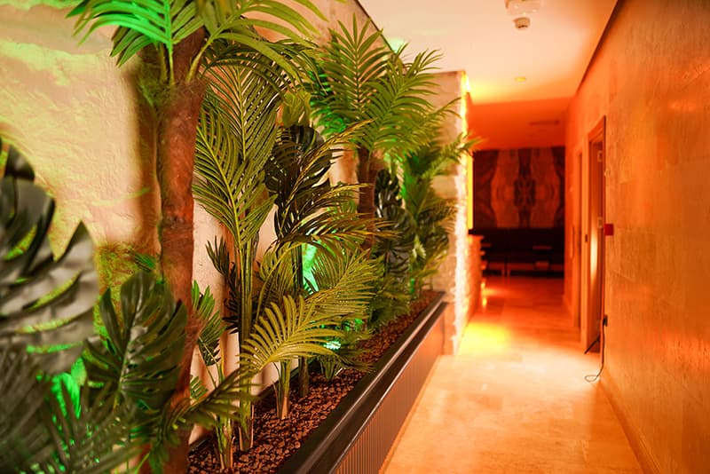 Emirtimes Havalı Koridor